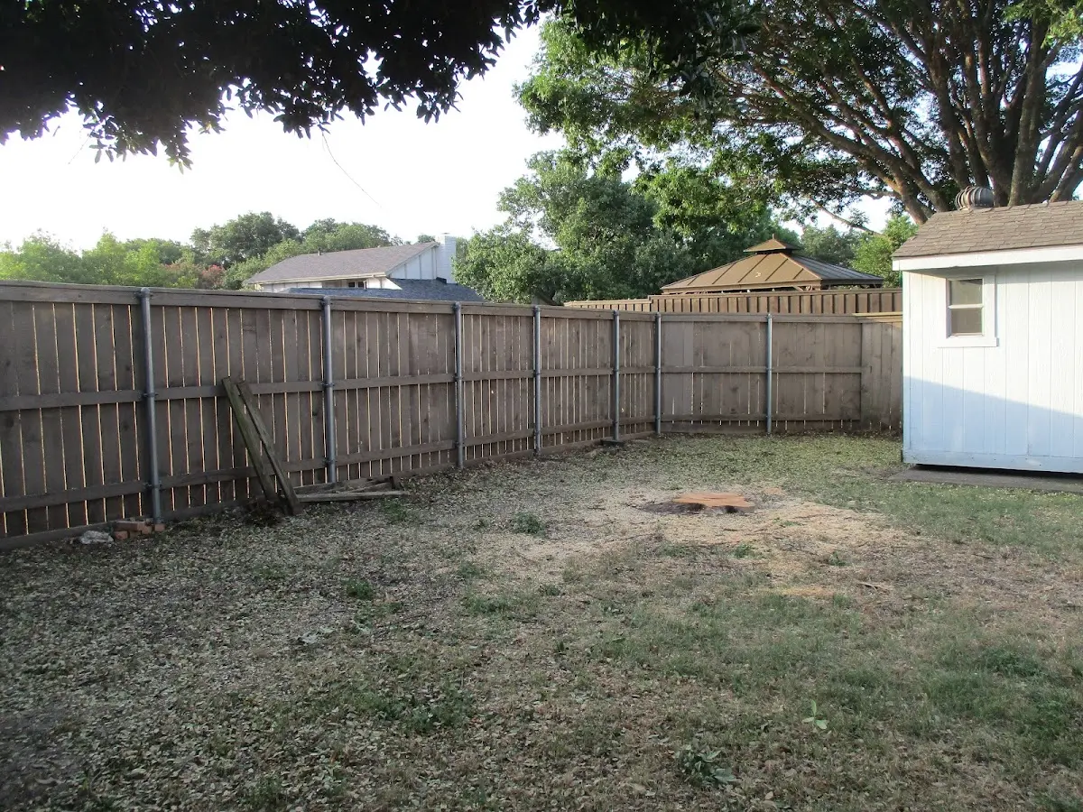 Cleared yard after professional tree removal in West Eaton