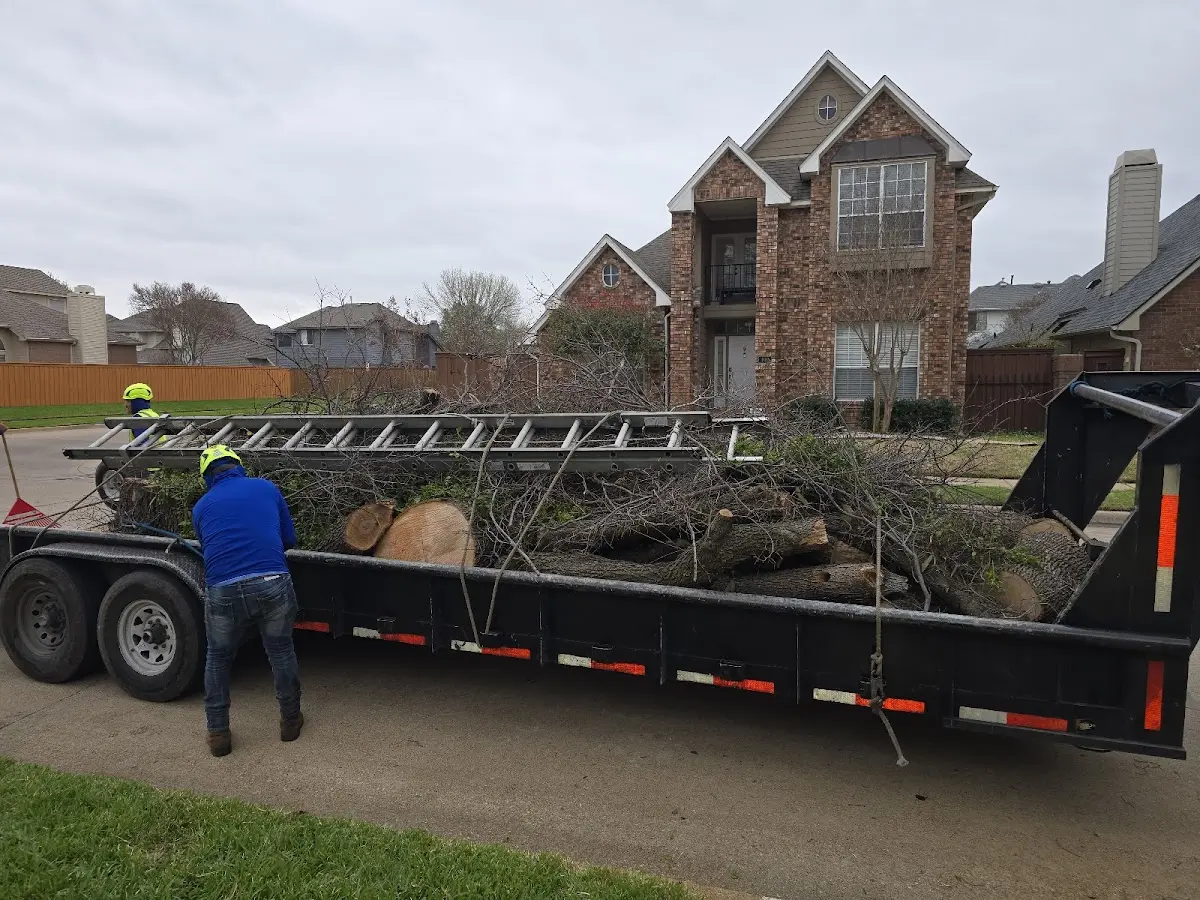 Expert Tree Fertilization with proper safety equipment in West Eaton